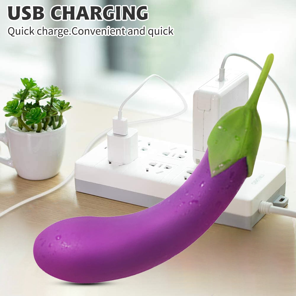 Datecapades Eggplant Vibrator with 10 Vibration Modes.